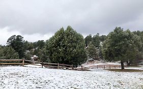 Multi-family Rocking Horse Ranch With Sauna!